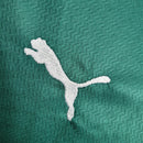 Kit Infantil Palmeiras Titular 22/23